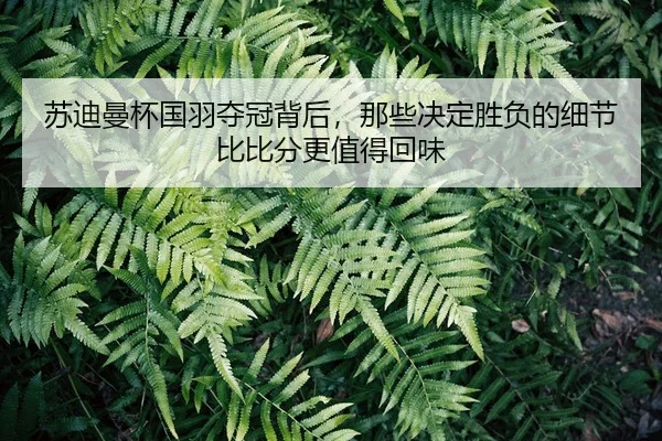 su-di-man-bei-guo-yu-duo-guan-bei-hou-na-xie-jue-ding-sheng-fu-de-xi-jie-bi-bi-fen-geng-zhi-de-hui-wei-2-801.jpg