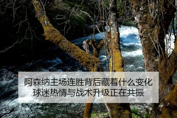 阿森纳主场连胜背后藏着什么变化 球迷热情与战术升级正在共振 - 新闻资讯重点报道封面图