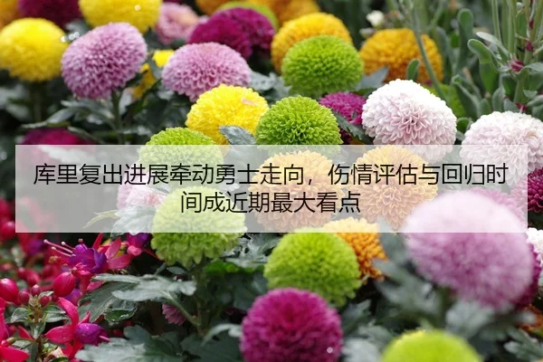库里复出进展牵动勇士走向，伤情评估与回归时间成近期最大看点